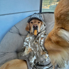 CZCZO (prod.praivyy)