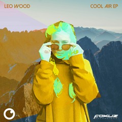 Leo Wood Ft. Reflektor - Perfect Imperfection