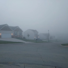 MindFog