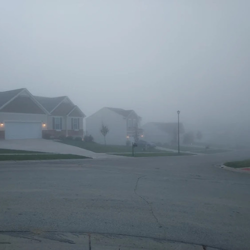 MindFog