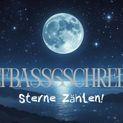 Sterne Zählen! (TiefBassGschredda Tekk Remix)