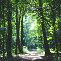 Come Here and Kiss Me