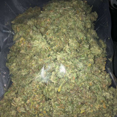 BNmaza - Backwoods