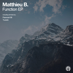 Matthieu B. - Function (Paranoia106 Remix)