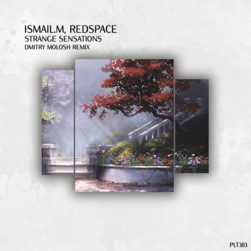 Premiere: ISMAIL.M, Redspace - Strange Sensations (Dmitry Molosh Remix) [Polyptych]