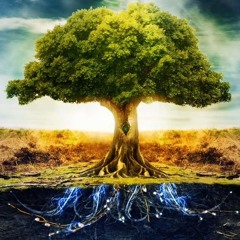 Psytech