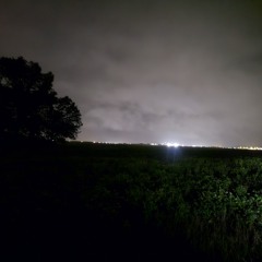 Bluebird Ukulele Cover (Original by Hope Sandoval)