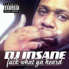 DJ Insane- Insane Intro