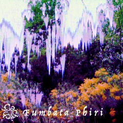 ♥ 32 - Fumbata Phiri - Absolute Elsewhere