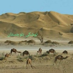 Ghani Jan Best Inqlabi Song For Balochistan | Techno Abdul Music Production |