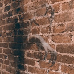 A_Wild_Manic_Episode_Appeared.mp3