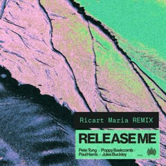 Release Me - Remix - Ricart Maria