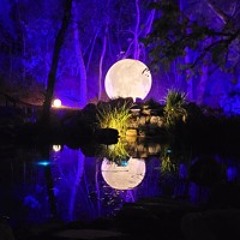 The Left Side of the Night