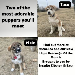 New Hope Rescues of the Month Taco and Pixie - May 6th