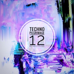 nachtPilger Presents Techno Pilgrimage 12 [Chill House]