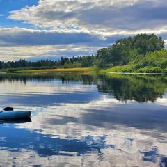 house shit from 2020