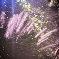 Yoga Nidra - Safe and Secure by Kerry Martinez