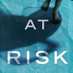 GET EPUB 📖 At Risk by  S. G. Redling &  Andi Arndt PDF EBOOK EPUB KINDLE