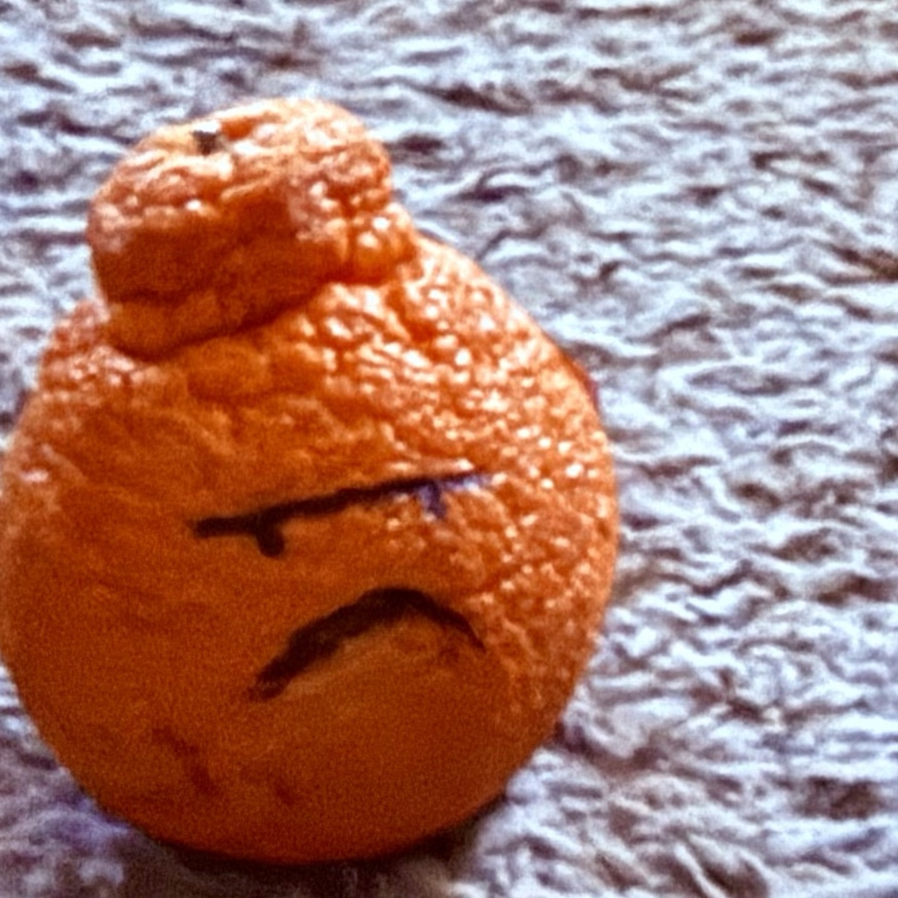 secular rejoice revival