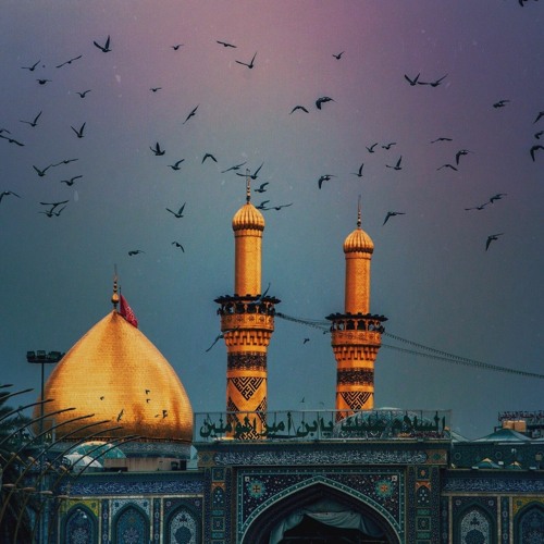 انت مو بس امام - علي فارس