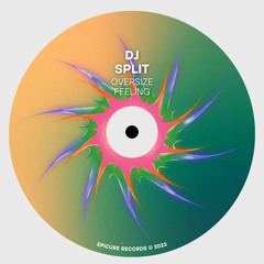 PREMIERE :  DJ Split - Do What You Want