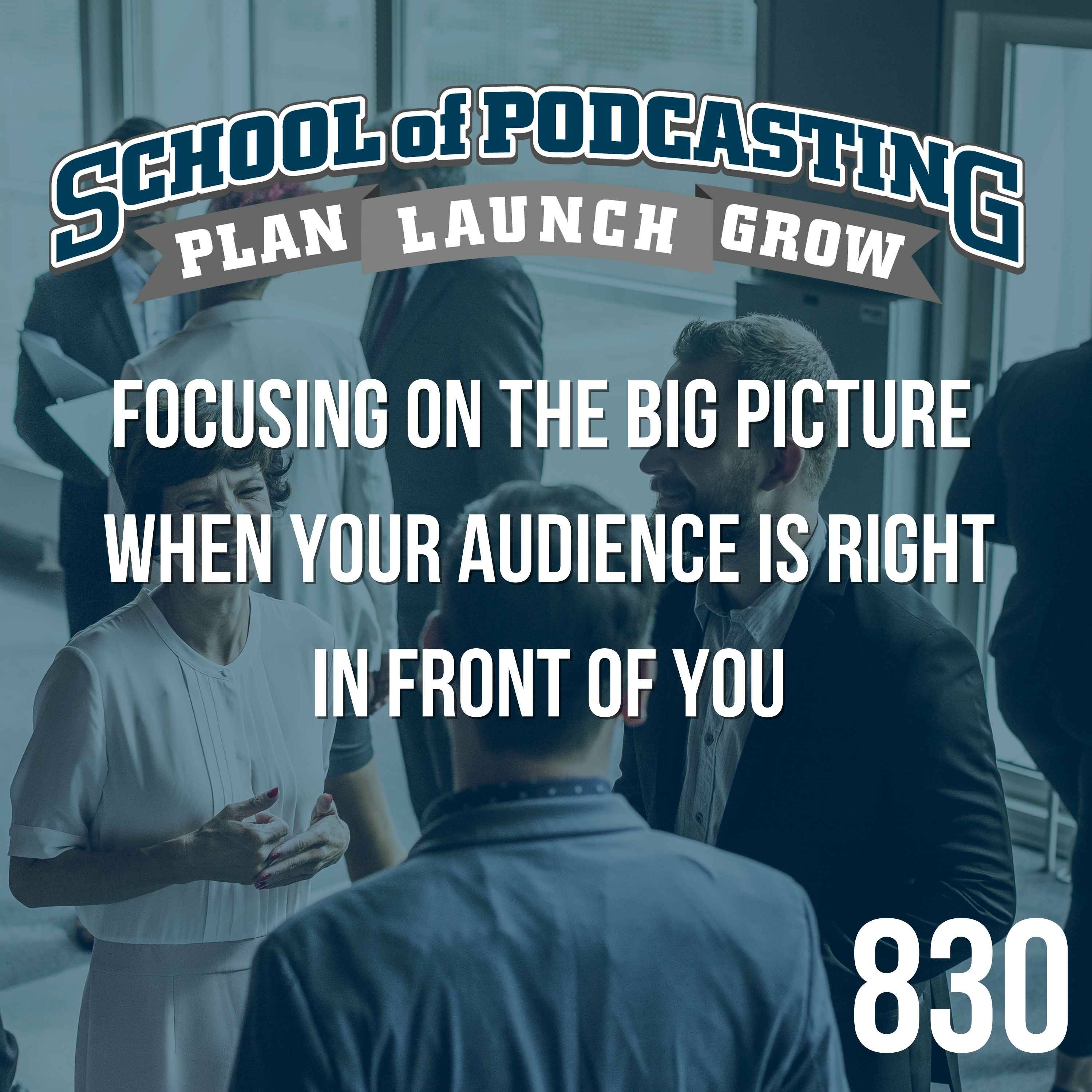 Focusing on the Big Picture  When Your Audience is Right in Front of You episode artwork