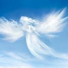 Angel by Emma Duncan and Matthew Bell