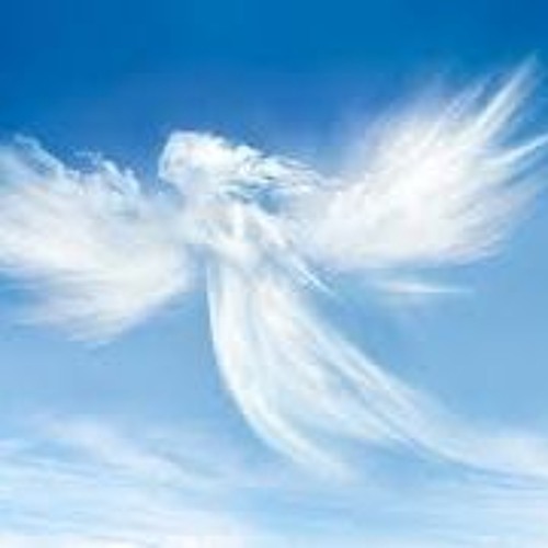 Angel by Emma Duncan and Matthew Bell