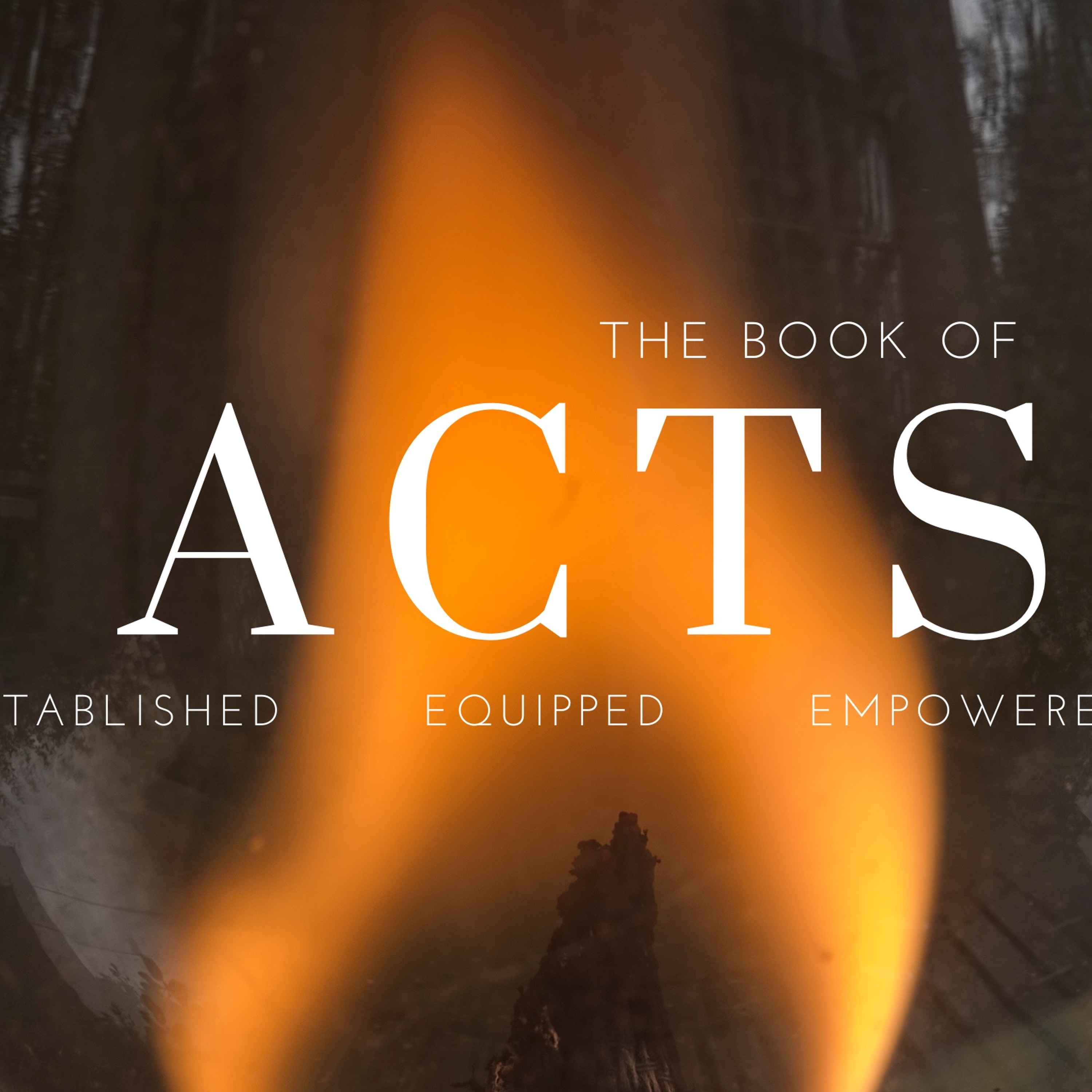 Acts 12:20-25: The Worm Buffet episode artwork