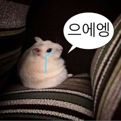 최유리 - 동그라미 (cover)