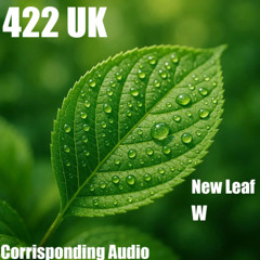 422 - W