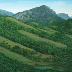 Francisco Manoel da Silva -Hino nacional brasileiro - Campinas - 2022