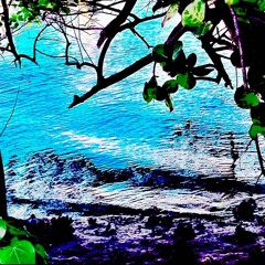 This Is What Love Is