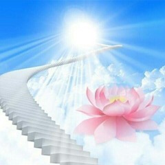 No puedo amarte (preview).mp4