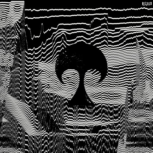 Dem Wobbles 12-18-21