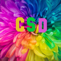 CSD Rigo 2025