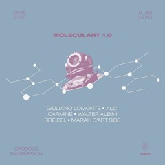 at Moleculart 1.0, Crodolo Palm&Beach (16.08.2020)