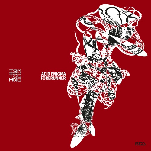 ACID ENIGMA - Forerunner (Original Mix)