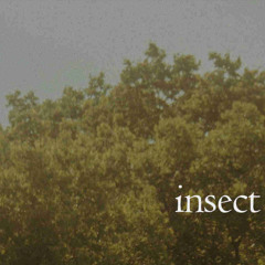 insect (naviarhaiku603)