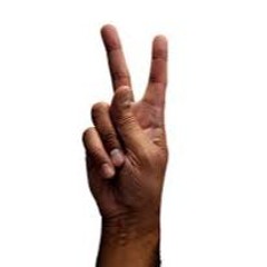 Make Peace Not Fight