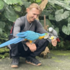 Обновленный обет осознанного пути