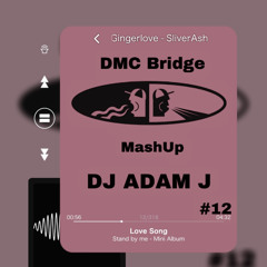 Da Hool vs  B&W Brothers - Put Your Hands  (DJ Adam J Mashup)