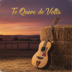 Te Quero De Volta (Sertanejo)