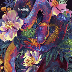 Chan Kithan | House mix