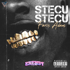 Stecu Stecu (Erenst Edit)