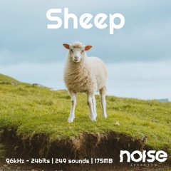 Sheep Sample Pack