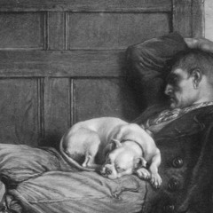 B005 ( Nap )