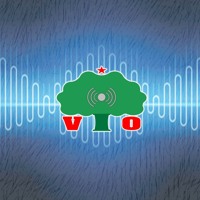 VIO