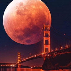 Throwed Apology *NEW* 2020 MILO