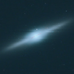 HLX1